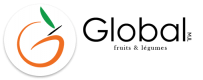 icone_globalmjl_circle_v4